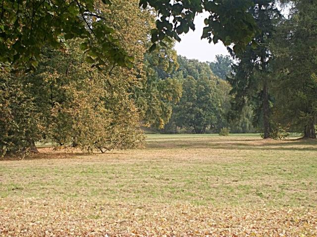 park in autumn.