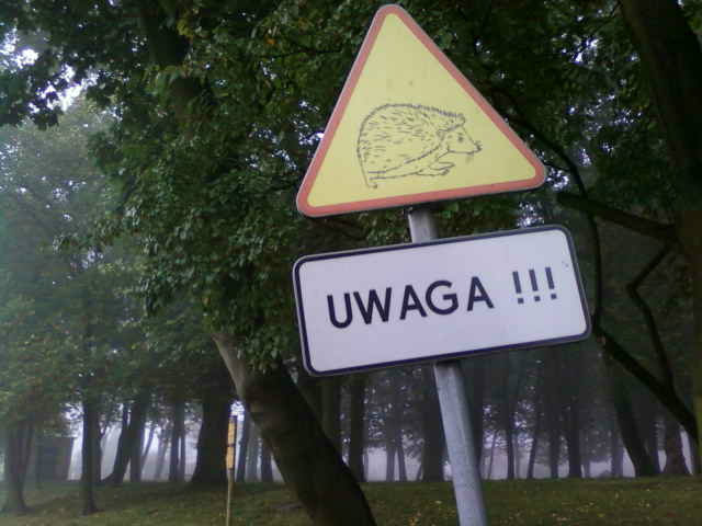 Wpis taiffun