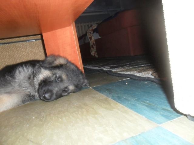 Maksiu:)