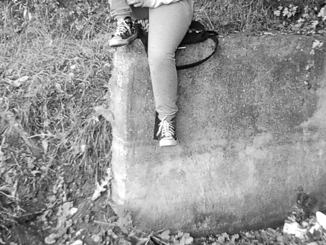 Wpis sylwiusax3