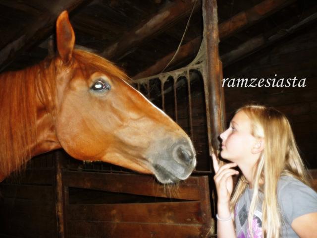 Wpis ramzesiasta