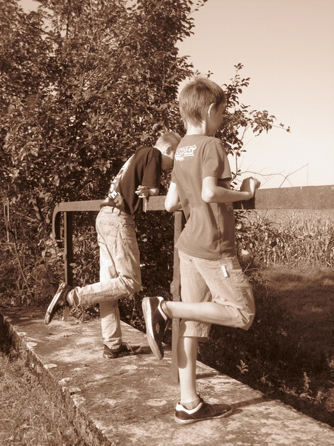 Wpis kasztaniaczek