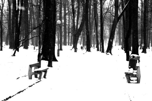 winter