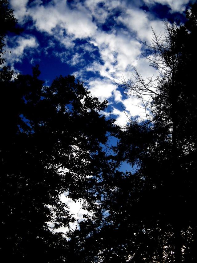 Hope.
