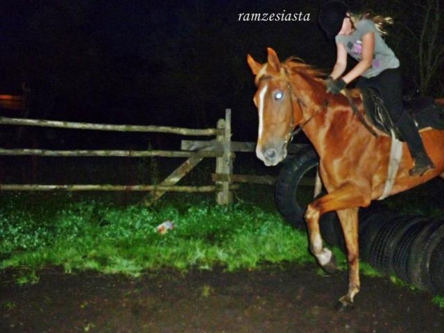 Wpis ramzesiasta