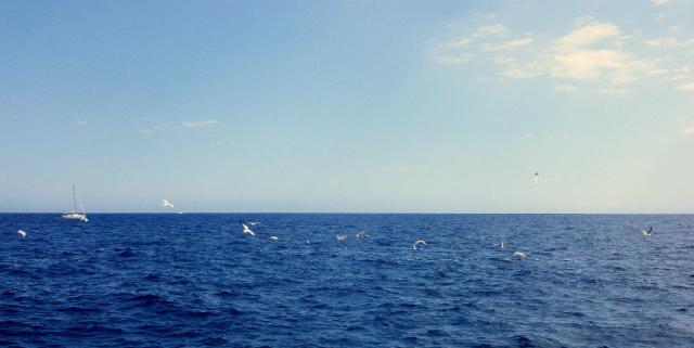 Espa