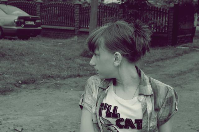 boe, 