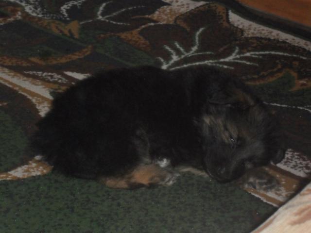 Maxxxxx:*