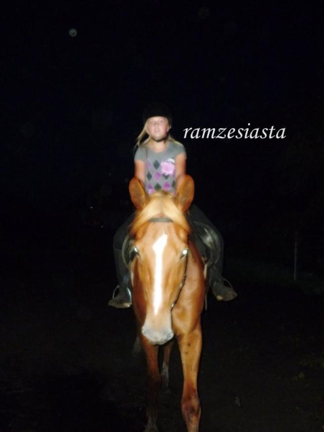 Wpis ramzesiasta