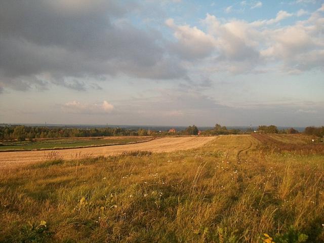 fields.