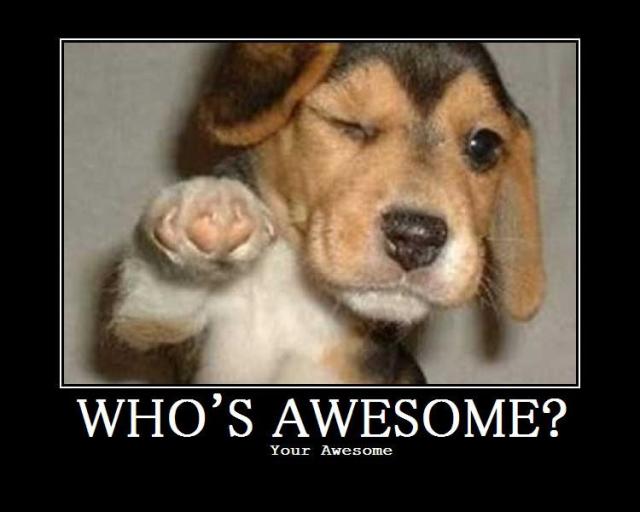 awesome