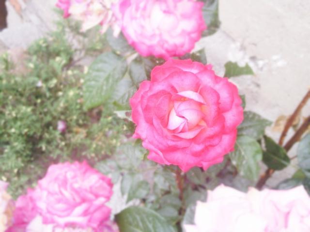 past,future  tommorow,yesterday