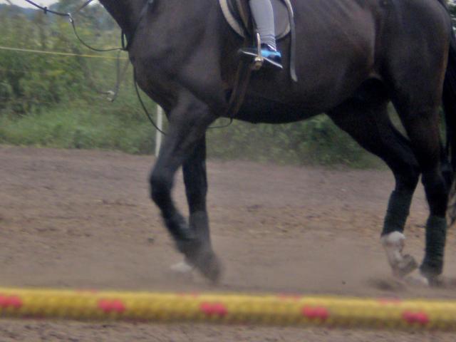 Wpis sylwia90790
