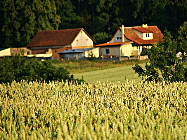 3 .
