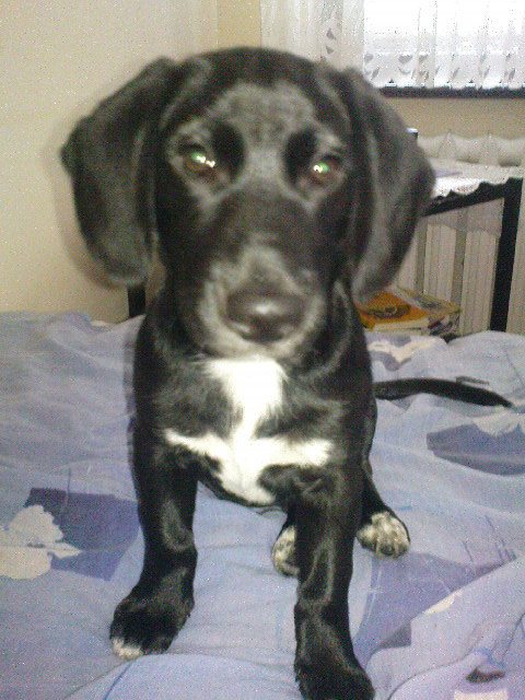 a fuj !
