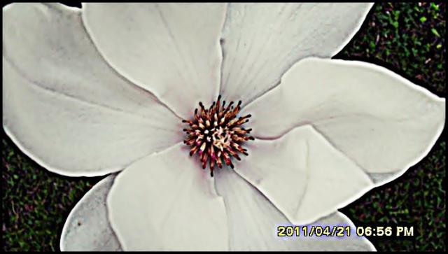 Wammm.. : )