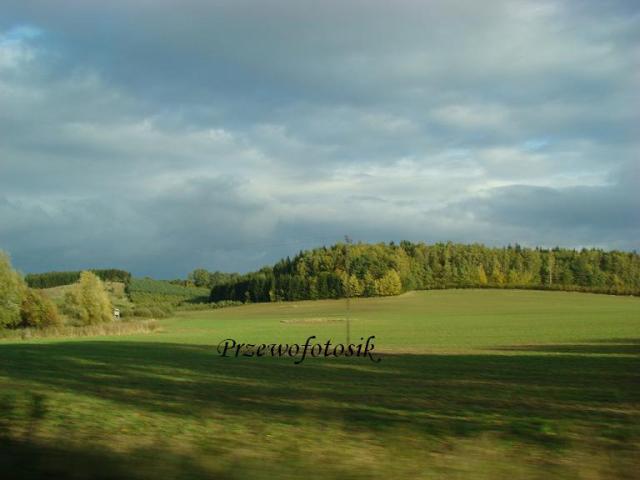Zielono...