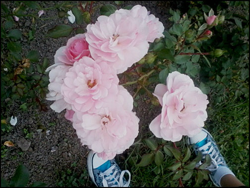 Hyy, moje buty i kwiatki