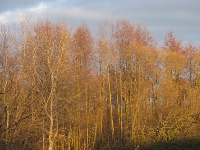 Wpis kolorowokolorowa