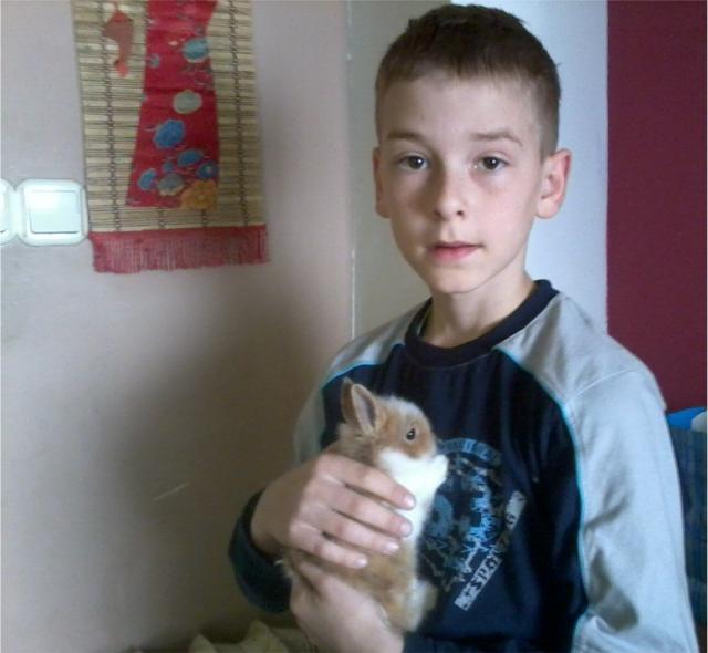 Wpis jarek1999