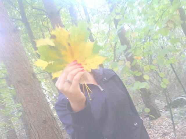 shahahaha xxx