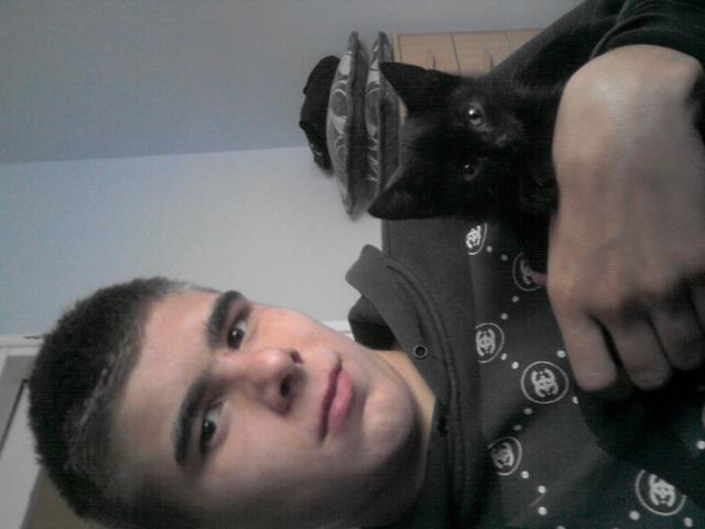 Wpis bucuss