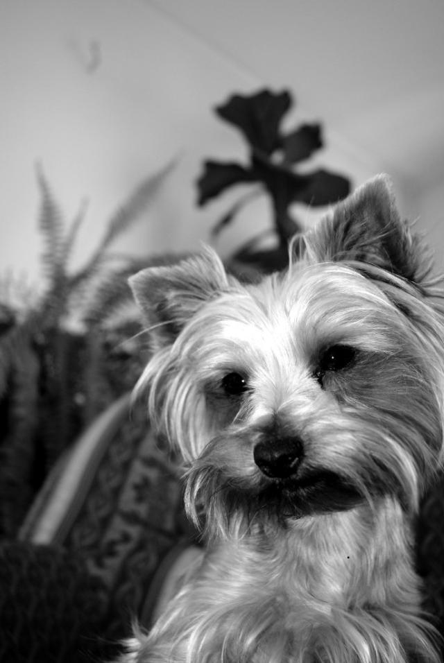 Lenka ;) 