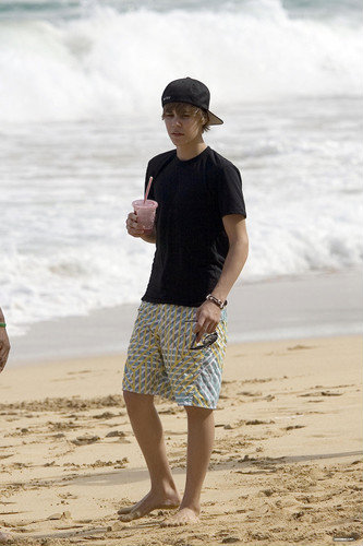 Wpis allforbieber