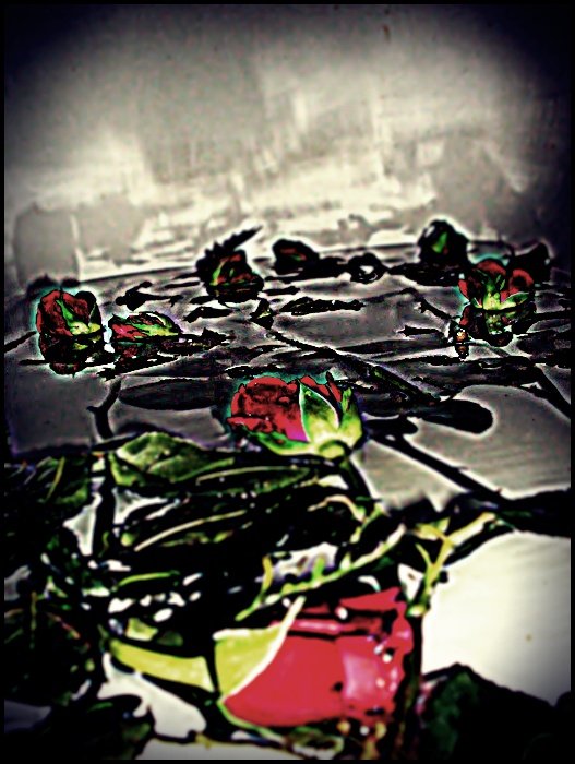 Wam. : )