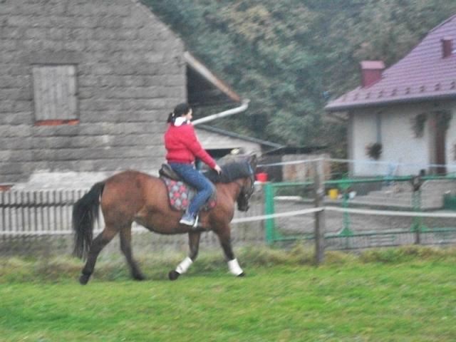 Wpis malinka2oo9