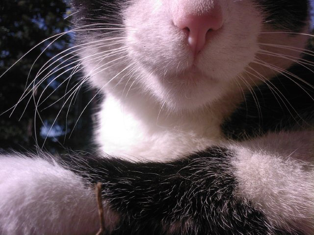 Wpis suuunshine