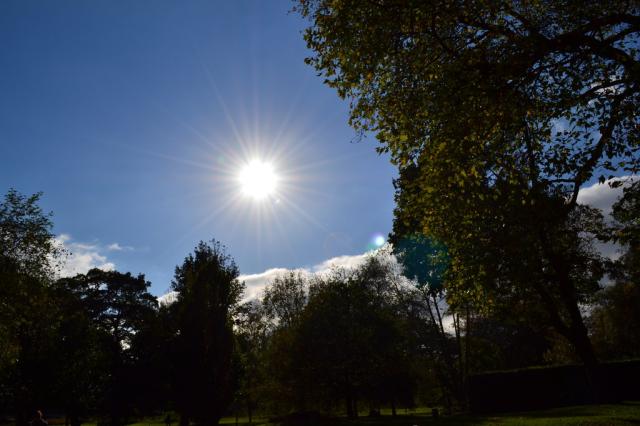 sun 
