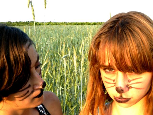 miau.
