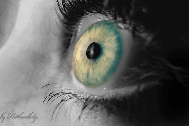 eye.