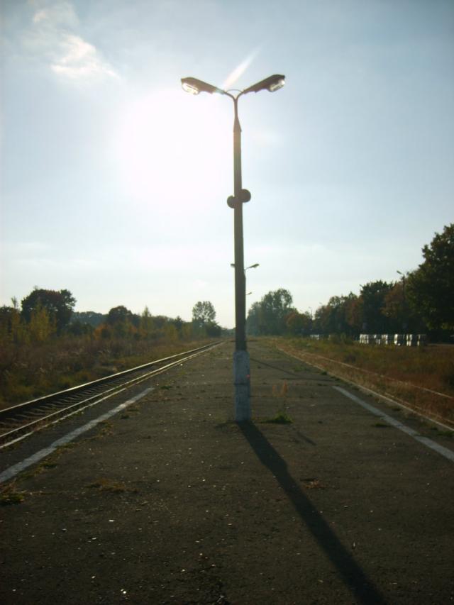 Unisaw Pomorski (9)