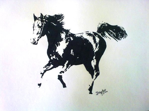 Galop - tusz