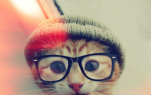 Kiciu ;p