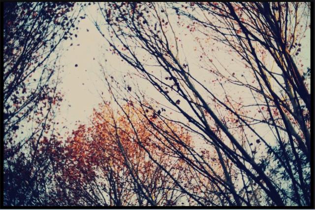 Silence.