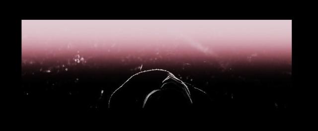 Wpis dive9