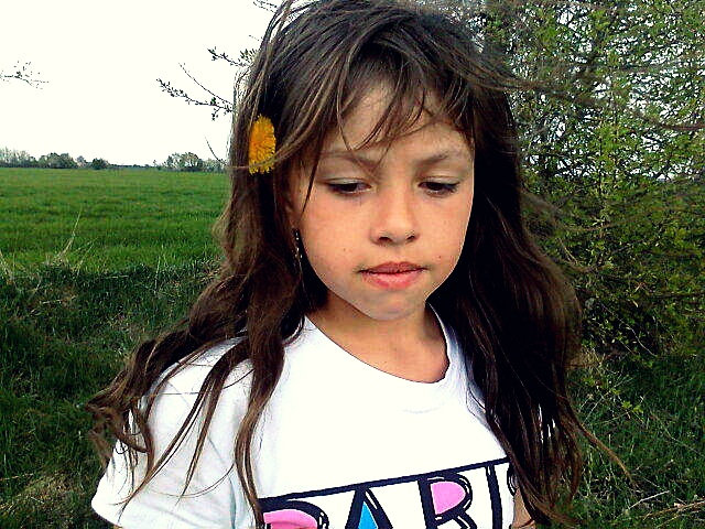 Wpis marchewka1
