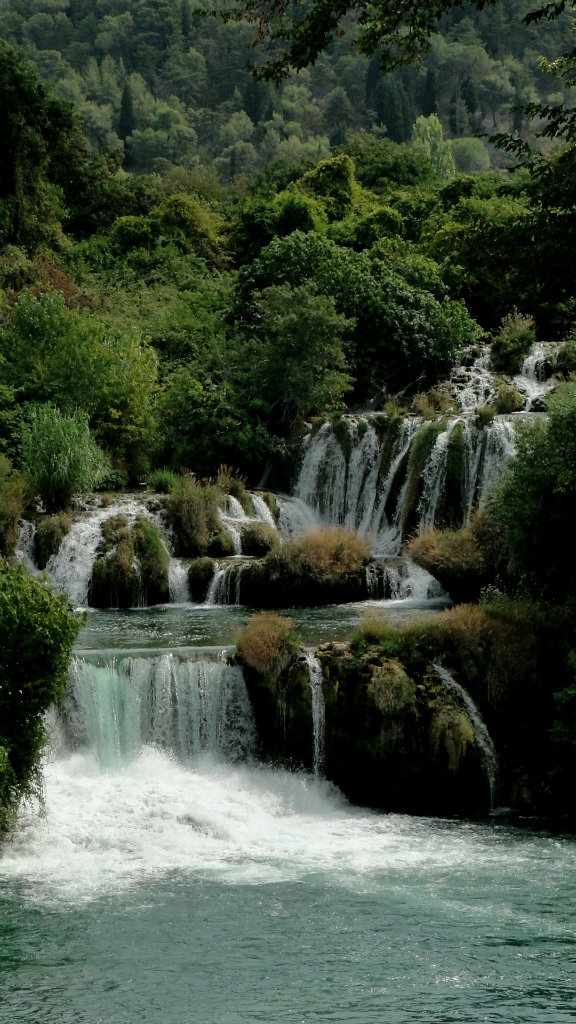Wpis daudusia