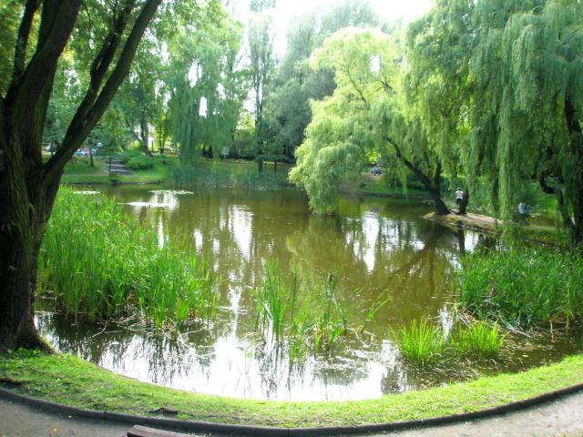 Botanik Zabrze:))