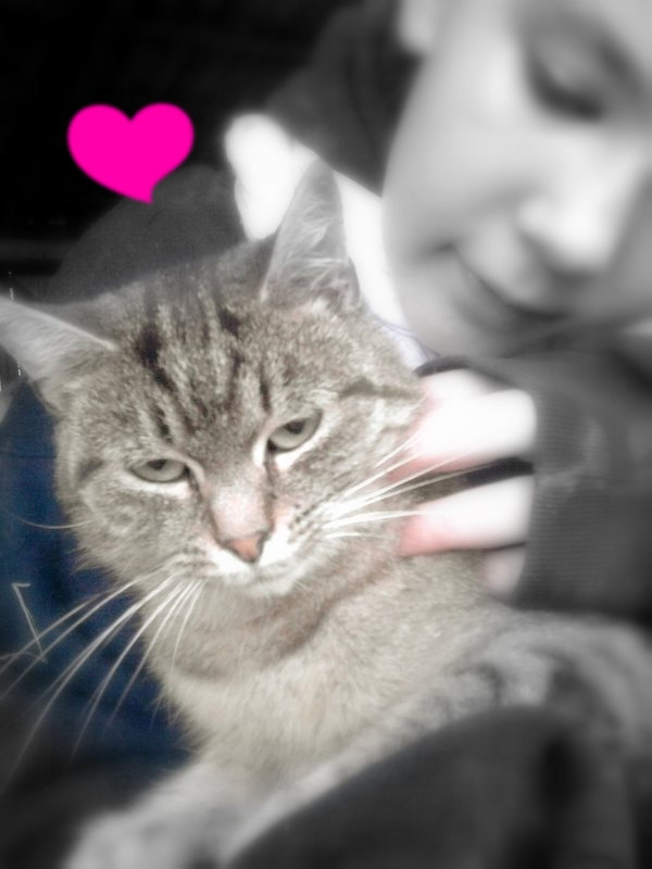 ` < 3 .