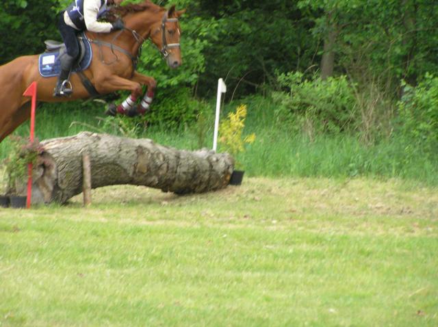 Cross Racot