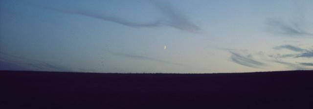 " Mond in the Night " 