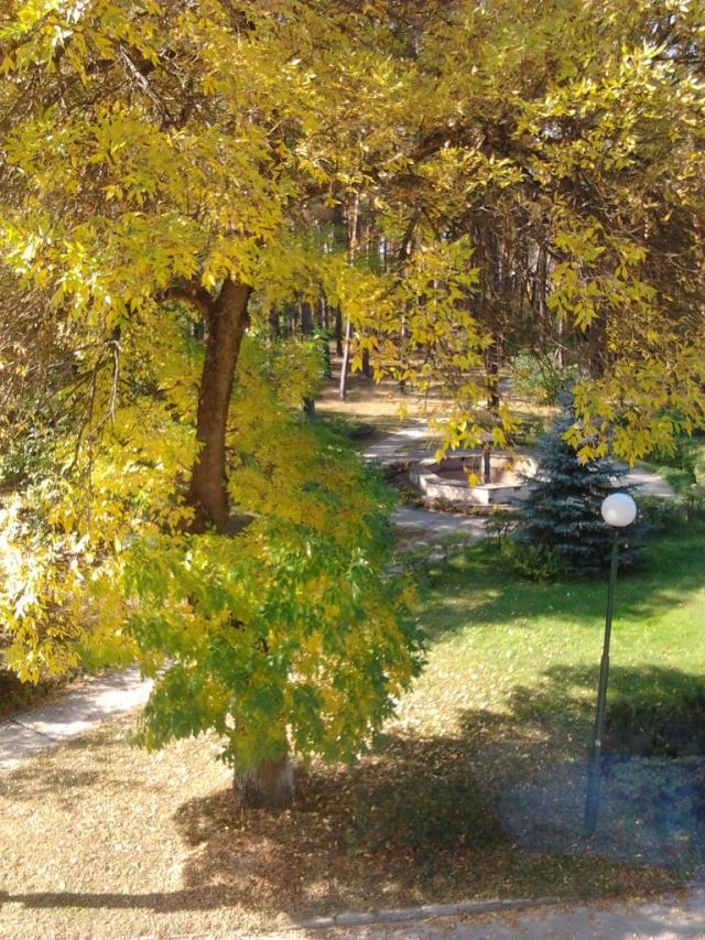 Widok z naprzeciwka