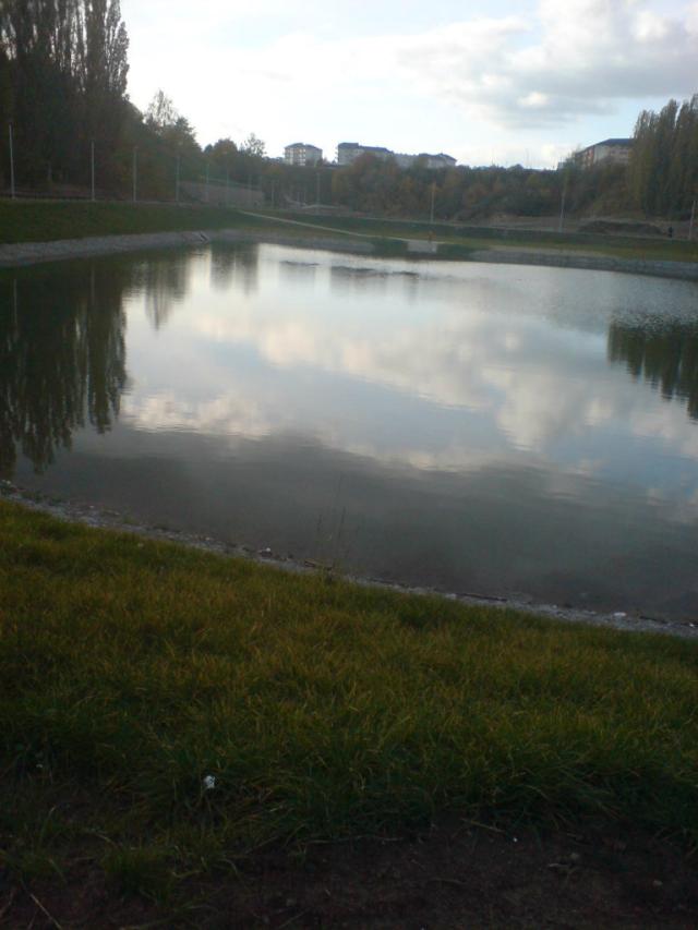 Wpis dobrzyniak