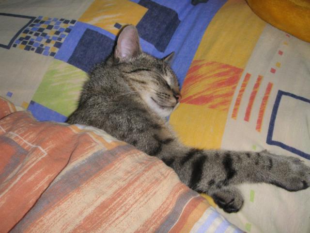 mrrra.. :D