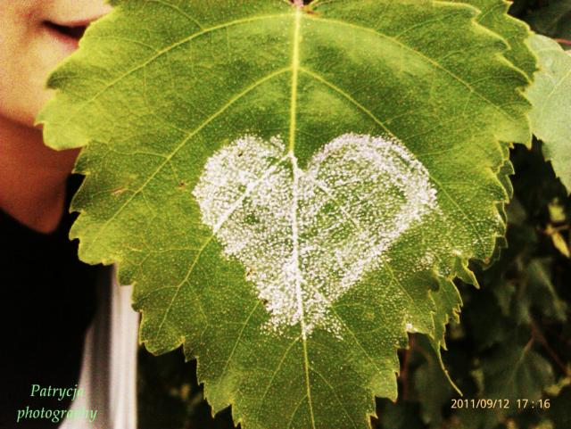 < 3 ! 