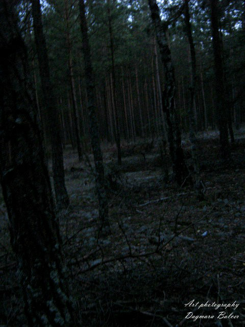 3.